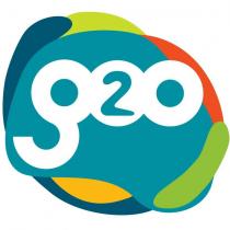 g2o