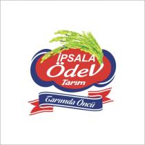 ipsala ödev tarım tarımda öncü