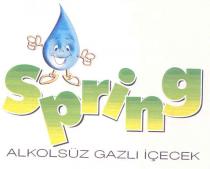 spring alkolsüz gazlı içecek