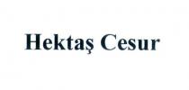 hektaş cesur