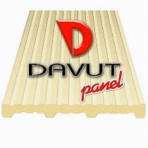 d davut panel