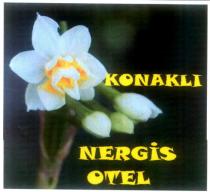 konaklı nergis otel