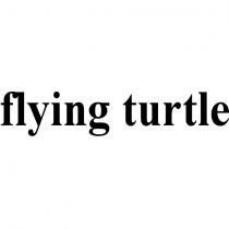 flying turtle