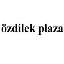 özdilek plaza