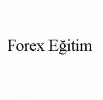 forex eğitim