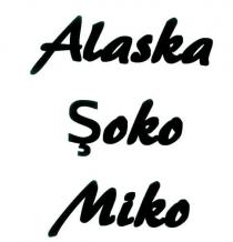alaska şoko migo