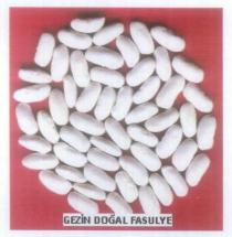 gezin doğal fasulye