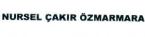 nursel çakır özmarmara