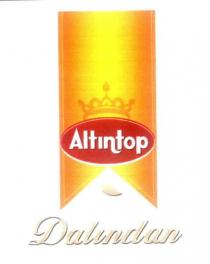 altıntop dalından