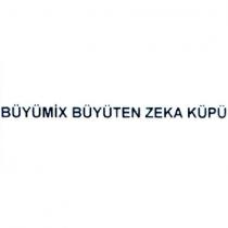 büyümix büyüten zeka küpü