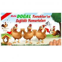 mutlu doğal tavukların sağlıklı yumurtaları