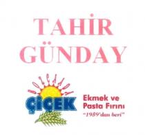tahir günday çiçek ekmek ve pasta fırını 