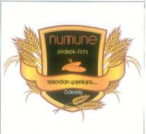 numune ekmek fırını 1930'dan yarınlara ödemiş