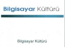 bilgisayar kültürü