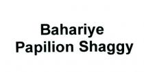 bahariye papilion shaggy