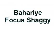 bahariye focus shaggy