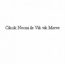 cikcik necmi ile vik vik merve