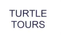 turtle tours