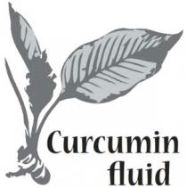 curcumin fluid