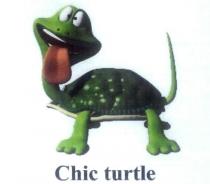 chic turtle