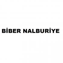 biber nalburiye