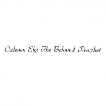 özlenen elçi the beloved prophet