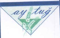 ay tuğ