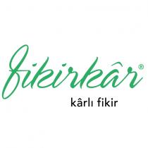 fikirkâr kârlı fikir