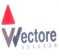 vvectore asansör