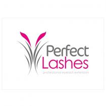 perfect lashes professional eyelash extension
