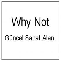 why not güncel sanat alanı