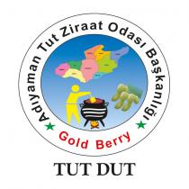 adıyaman tut ziraat odası başkanlığı gold berry tut dut