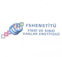 fshenstitü fikri ve sınai haklar enstitüsü