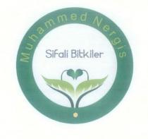 muhammed nergis şifali bitkiler