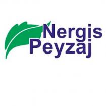 nergis peyzaj