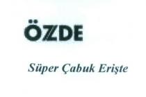 özde süper çabuk erişte