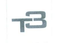 t3