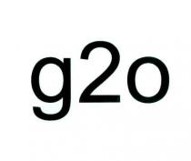 g2o