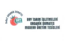 bry tarım işletmeleri organik domates modern üretim tesisleri