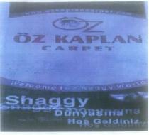 welcome to shaggy world özkaplan carpet