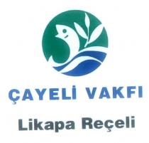 çayeli vakfı likapa reçeli