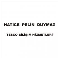 hatice pelin duymaz tesco bilişim hizmetleri