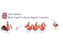 kor yumurta mutlu doğal tavukların sağlıklı yumurtaları