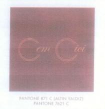 cem cici pantone 871 c(altın yaldız) pantone 7621 c