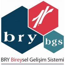 bry 1r bgs bry bireysel gelişim sistemi