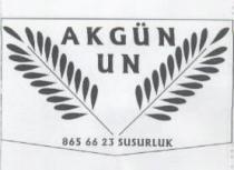 akgün un 8656623 susurluk