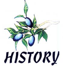 history