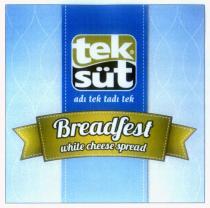 tek süt adı tek tadı tek breadfest white cheese spread