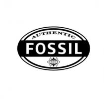 authentic fossil