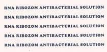 rna ribozom antibacterial solution